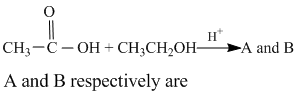 Chemistry-Aldehydes Ketones and Carboxylic Acids-832.png